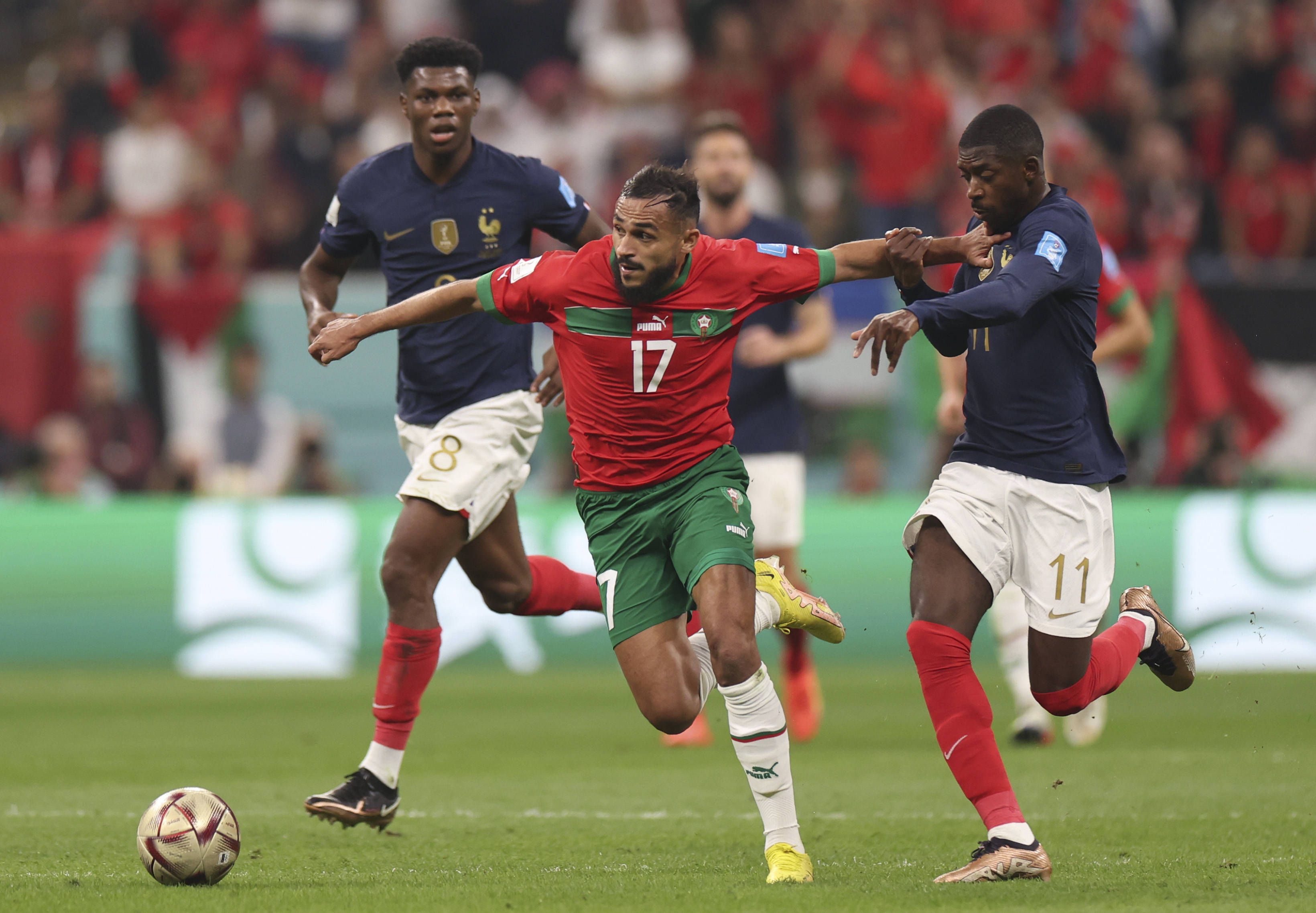 的调整和新 的调整和新